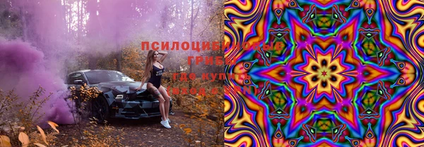 крисы Арсеньев