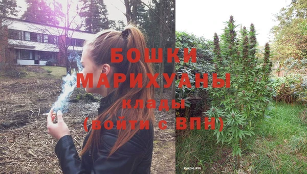 крисы Арсеньев